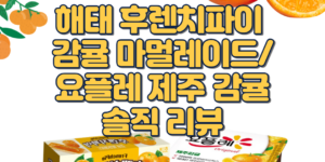 신상 감귤 디저트 후기/후렌치파이 감귤 해태 후렌치파이신상품/요플레 제주감귤 솔직한 맛 평가